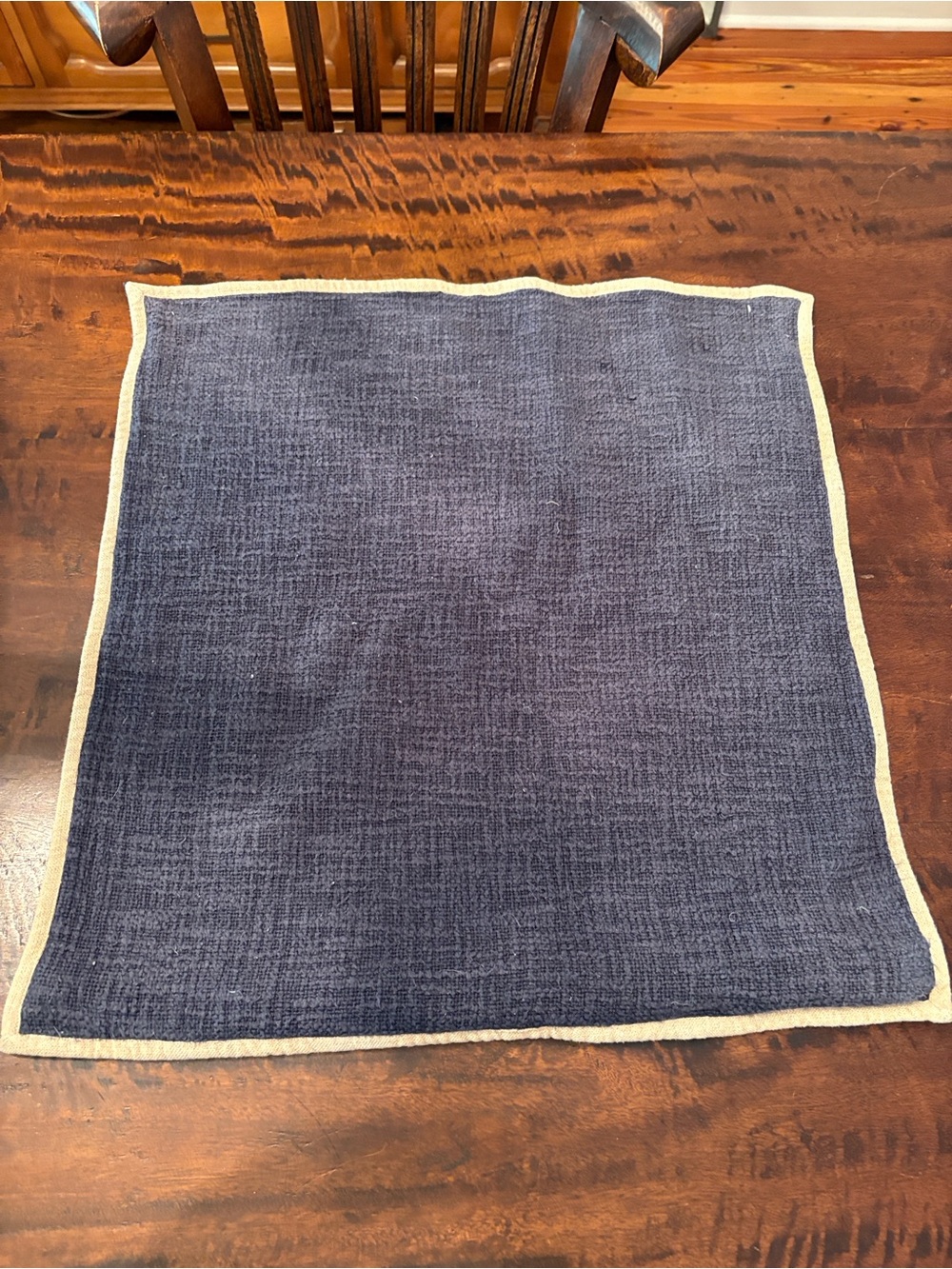 Pottery Barn Navy Accent Pillow Cover with Cream Border - Picture 4 of 7